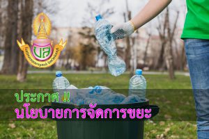 นโยบายขยะ
